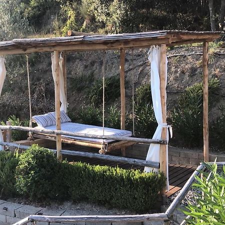B&B Ocagiuliva Riparbella Bagian luar foto