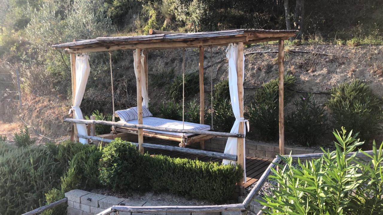 B&B Ocagiuliva Riparbella Bagian luar foto