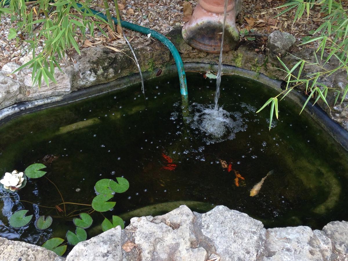 B&B Ocagiuliva Riparbella Bagian luar foto